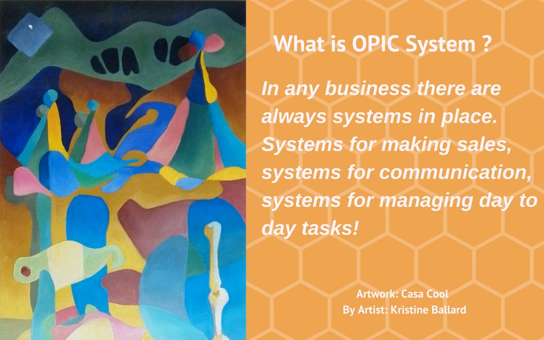 What is OPIC System?