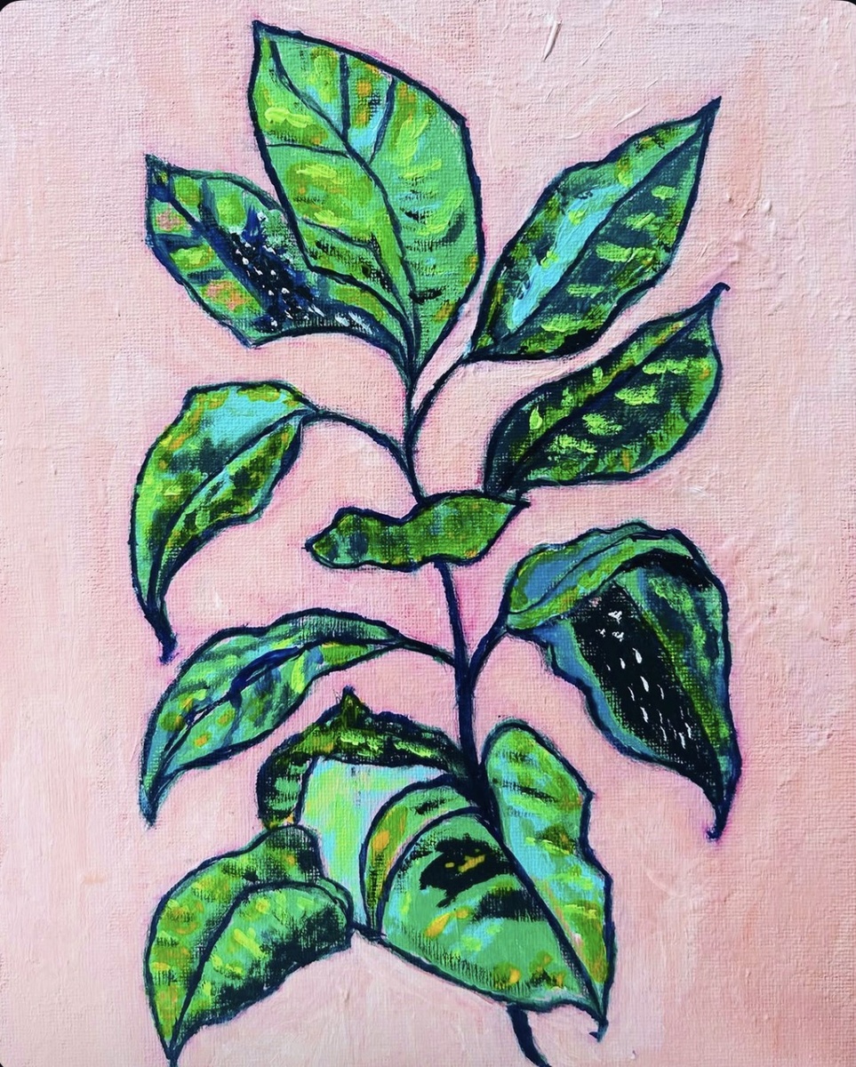 coloredplant